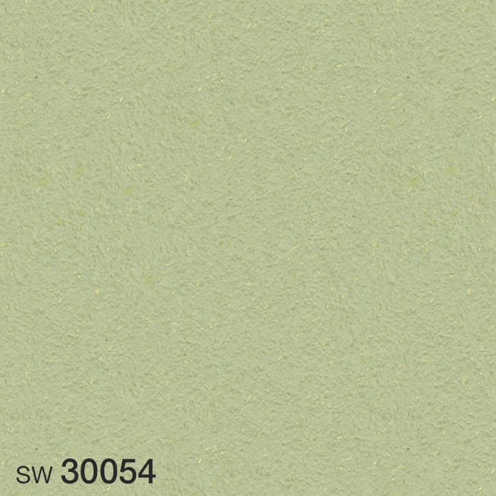 SW30054