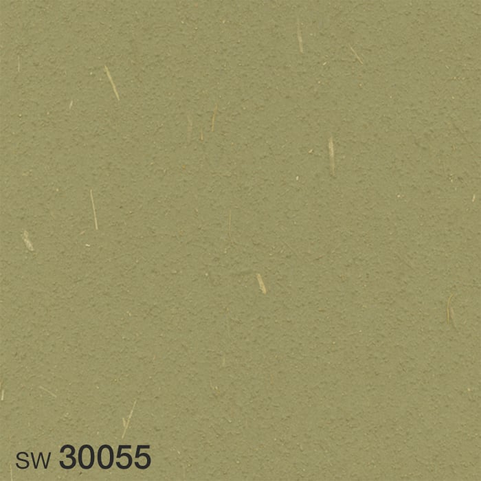 SW30055
