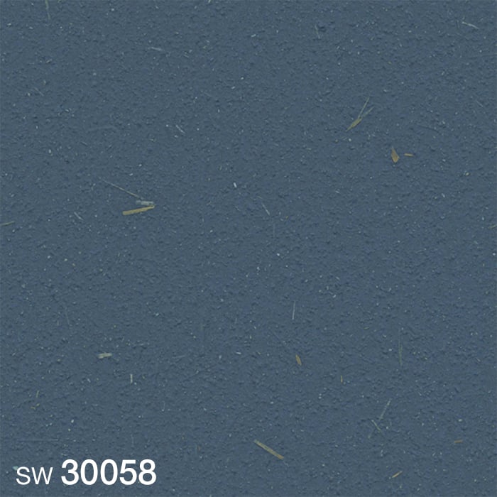 SW30058