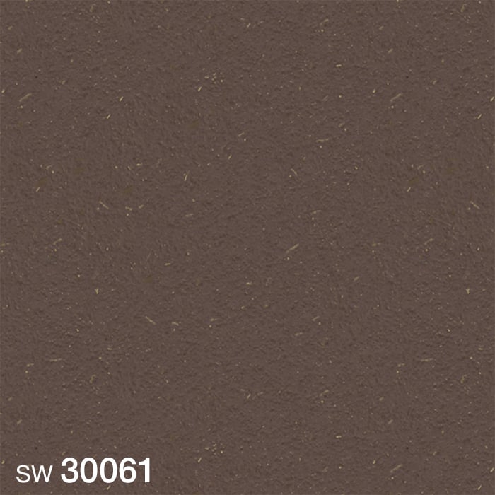 SW30061