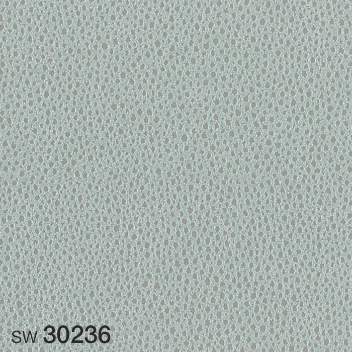 color chip
