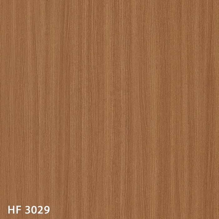 HF3029