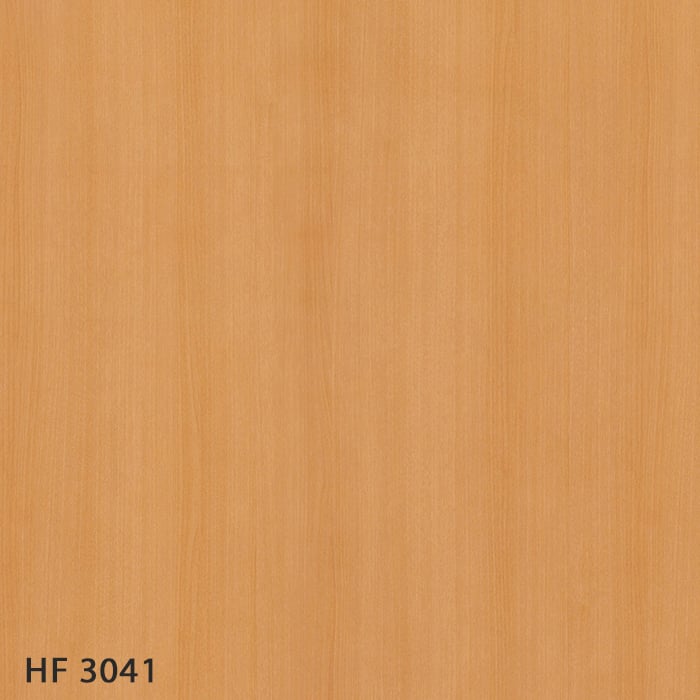 HF3041