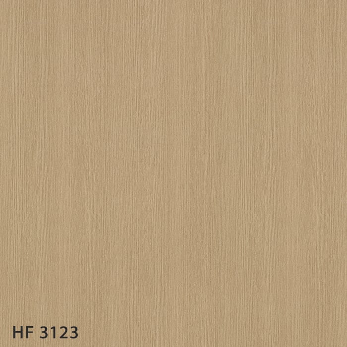 HF3123