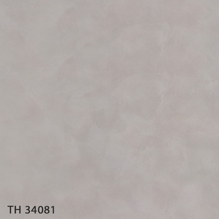 TH34081