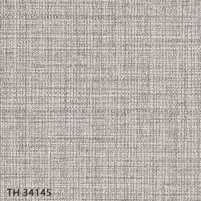 TH34145