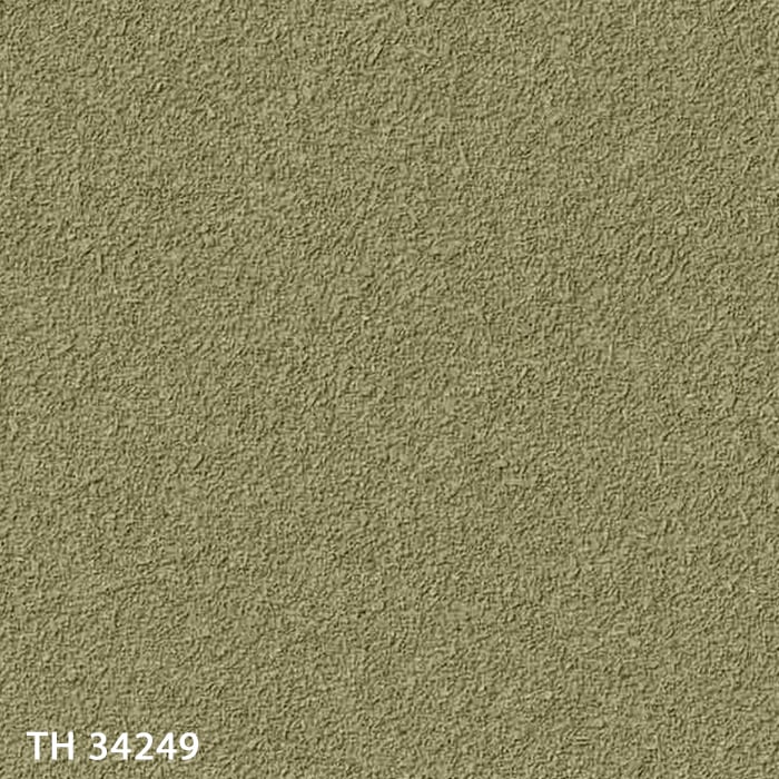 TH34249