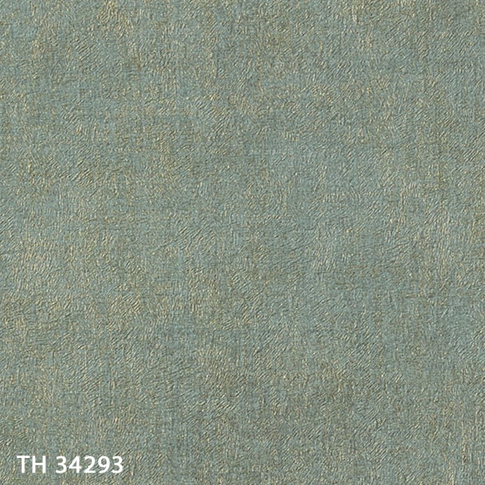 TH34293