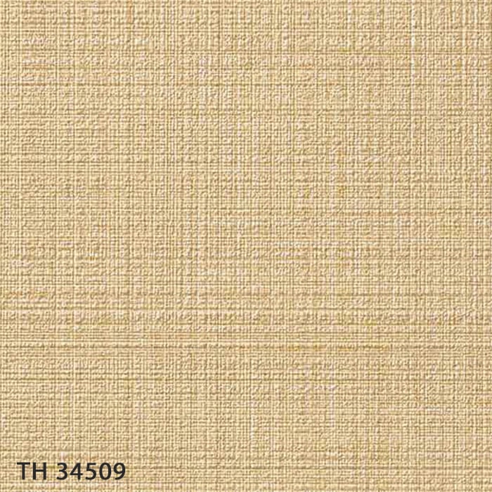 TH34509