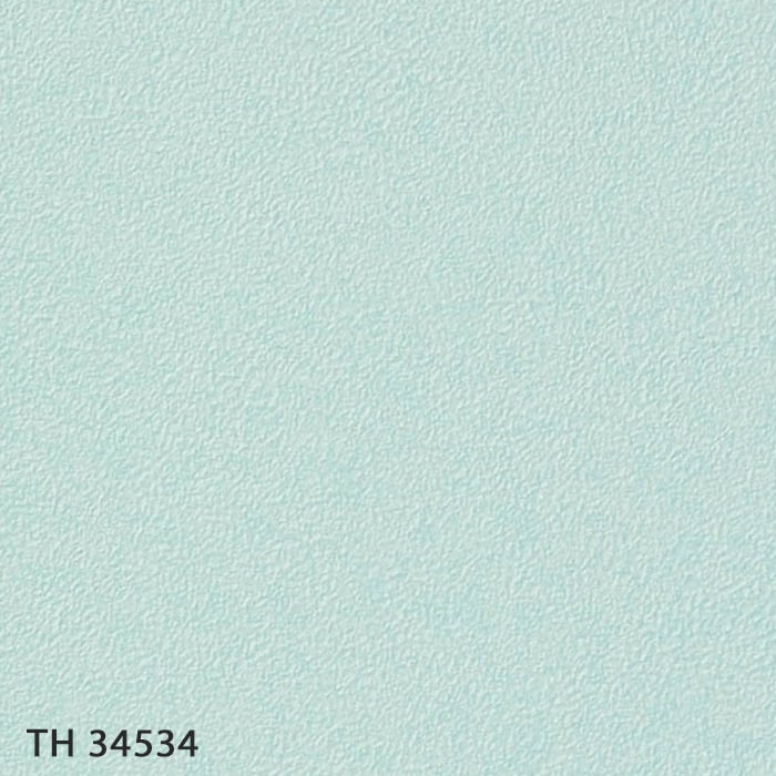 TH34534