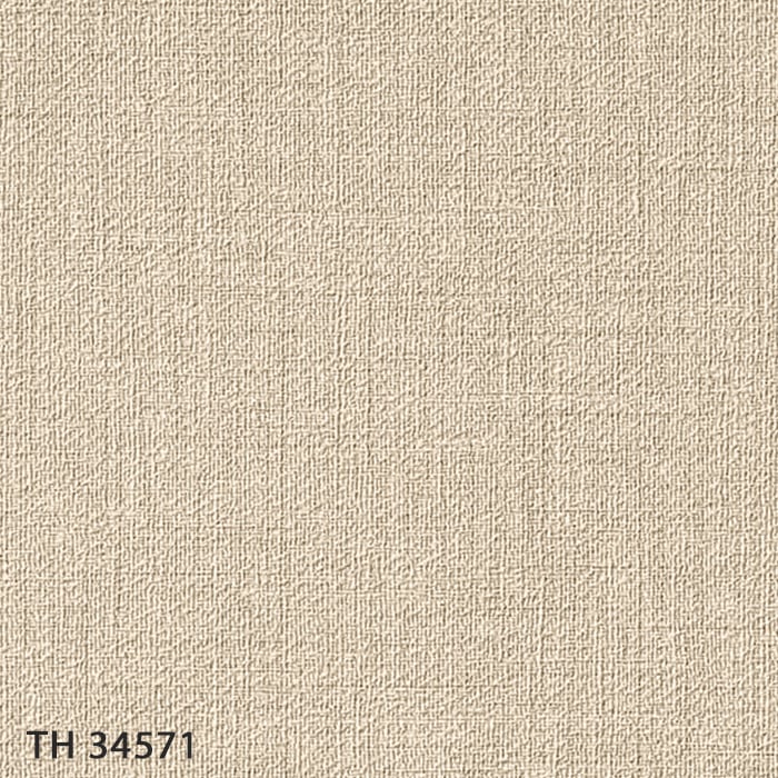 TH34571