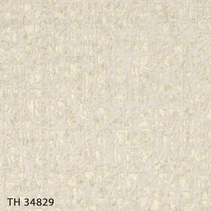 TH34829