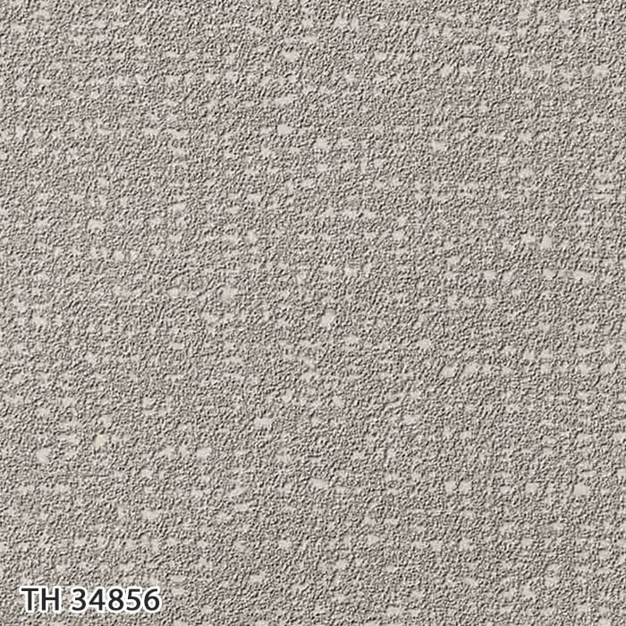 TH34856