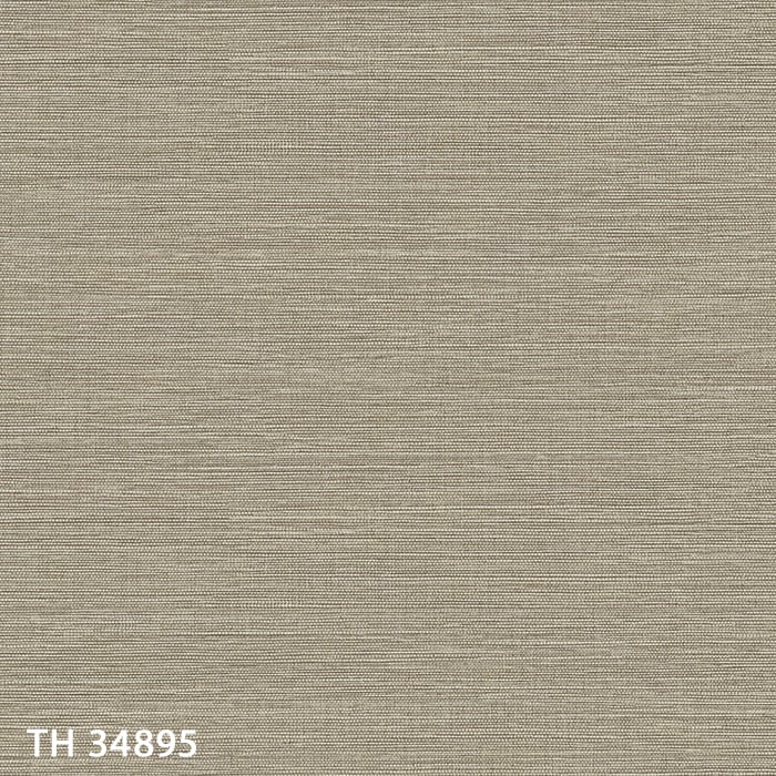 TH34895