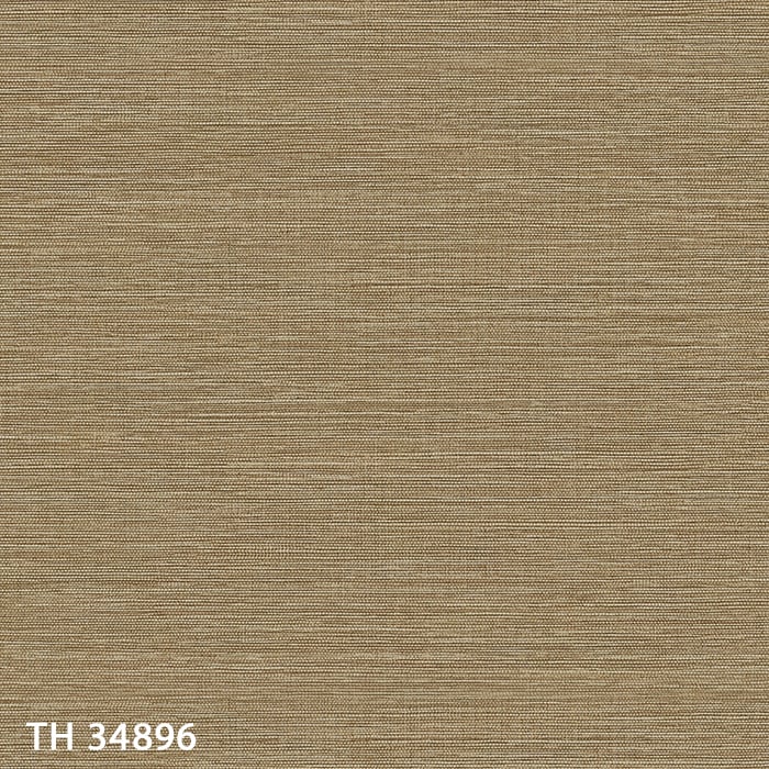 TH34896