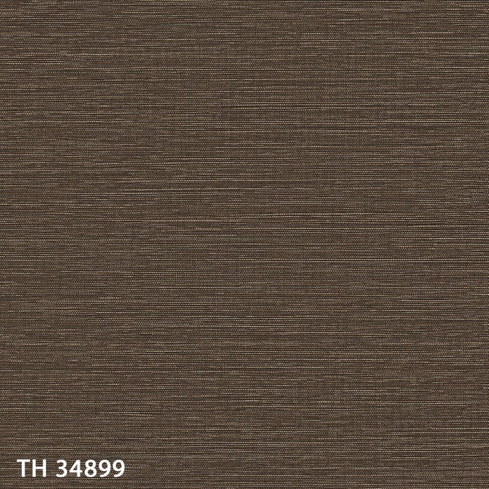 TH34899