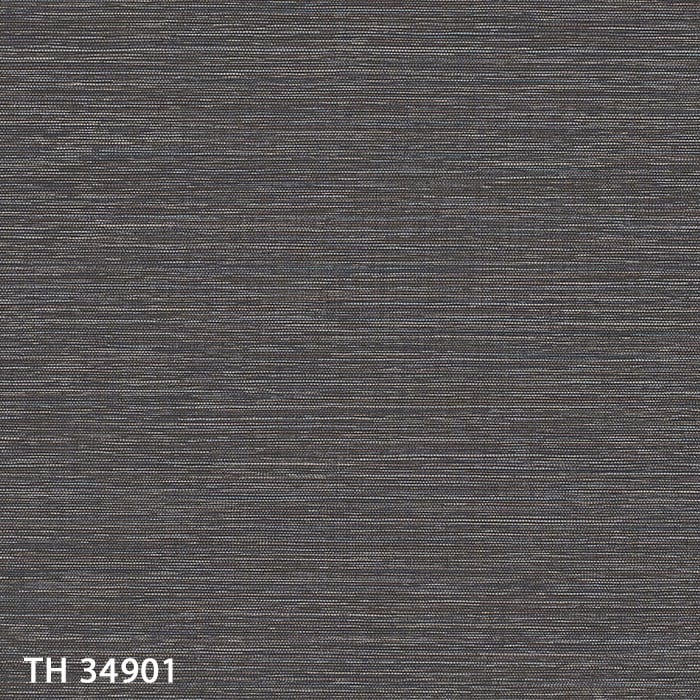 TH34901