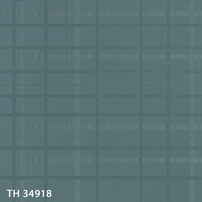 TH34918