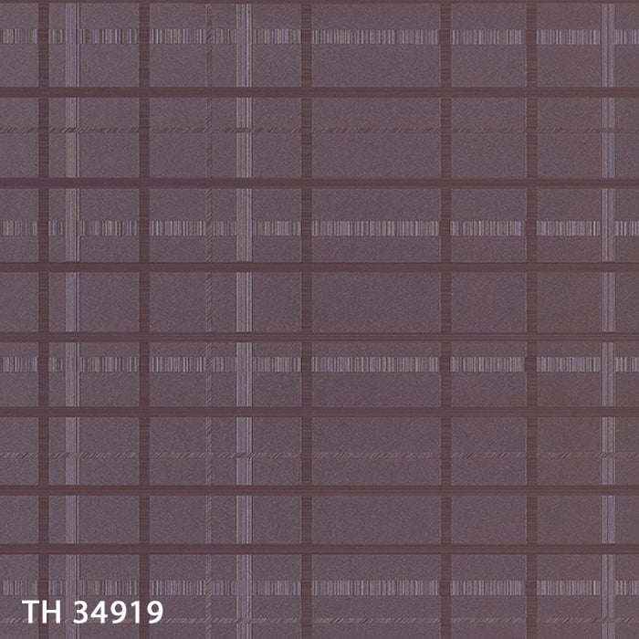TH34919