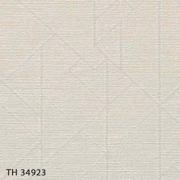 TH34923