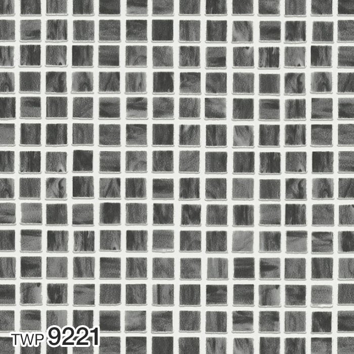 TWP9221