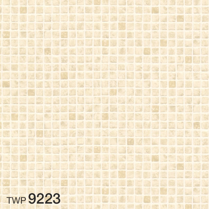 color chip