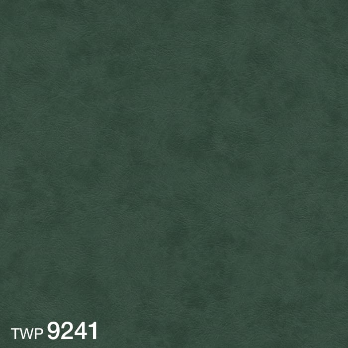 color chip