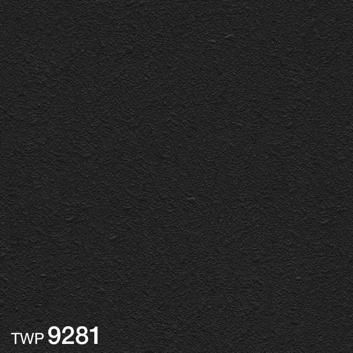 TWP9281