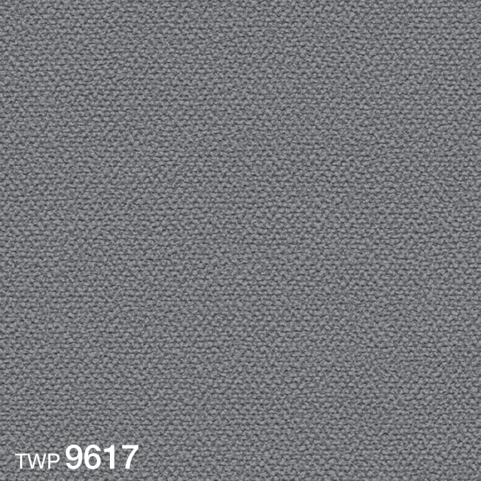 color chip