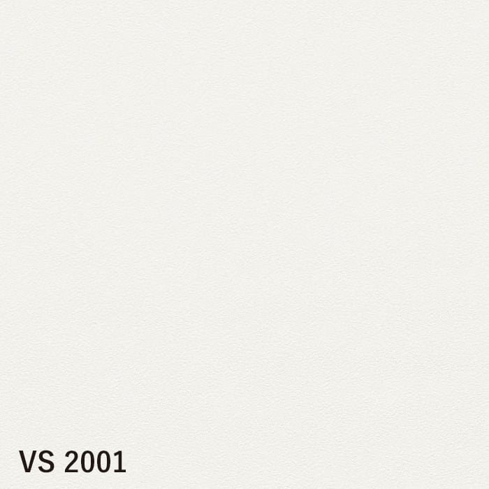 VS2001