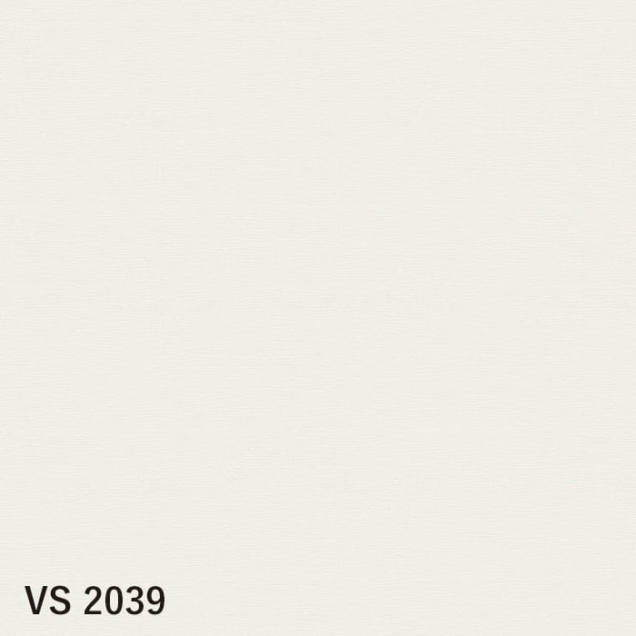 cs15-vs2039