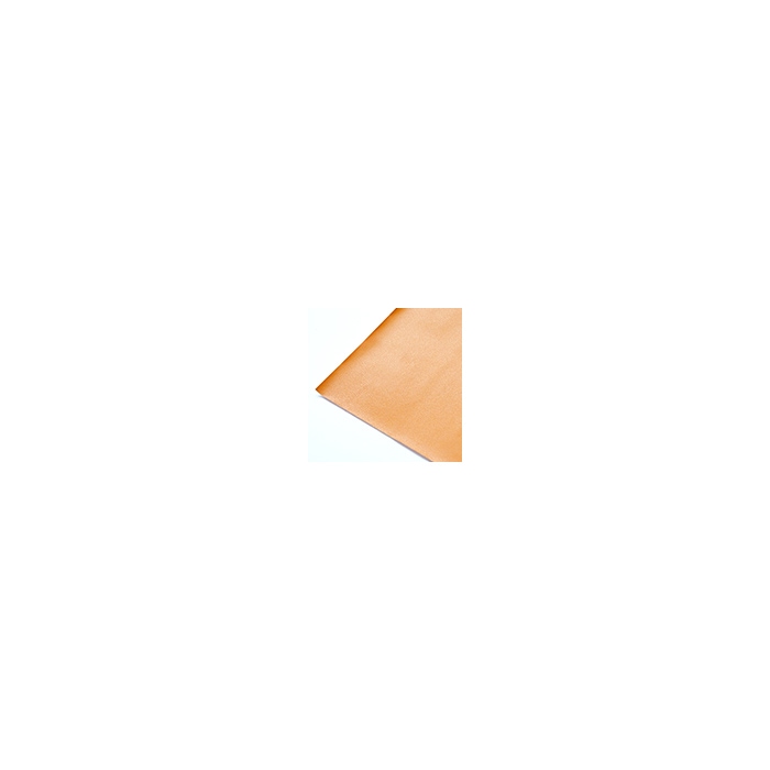color chip