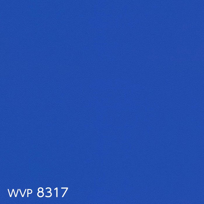 color chip