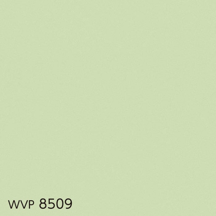 color chip