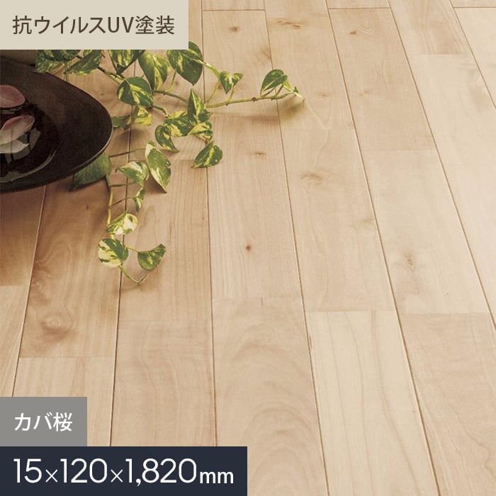 カバ桜 ユニ 抗ウイルスUV塗装 無垢フローリング 120 S | 無垢フローリングの通販 | DIYショップRESTA