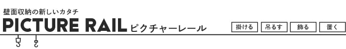 TOSO ピクチャーレール Wシリーズ対応 Wフック 15-A (正面付/後入れ) 