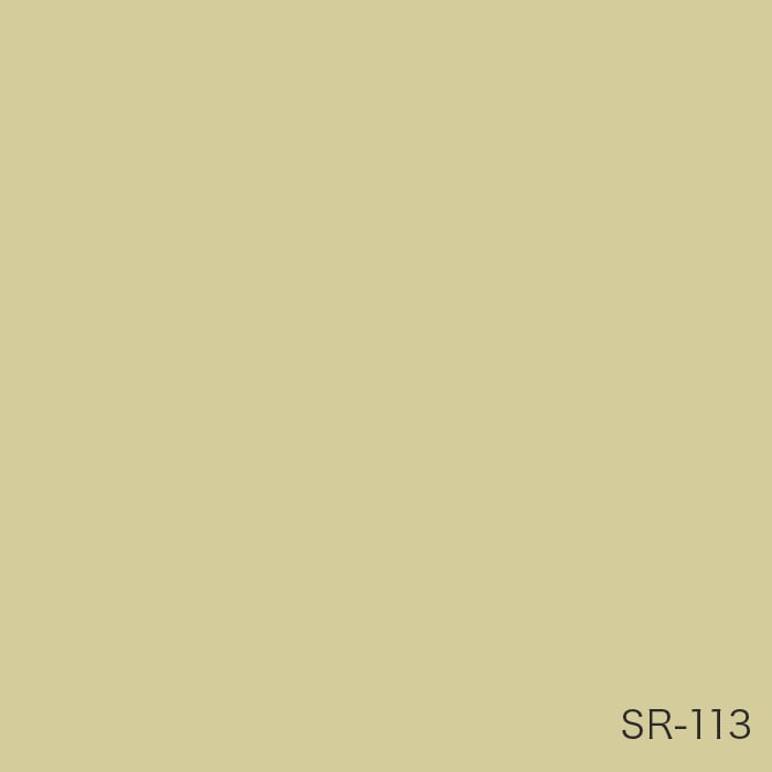 color chip