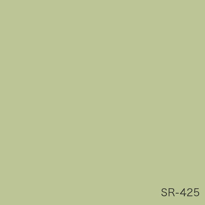 color chip