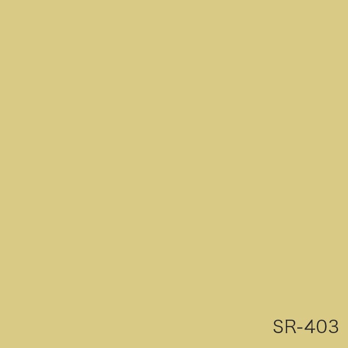 color chip