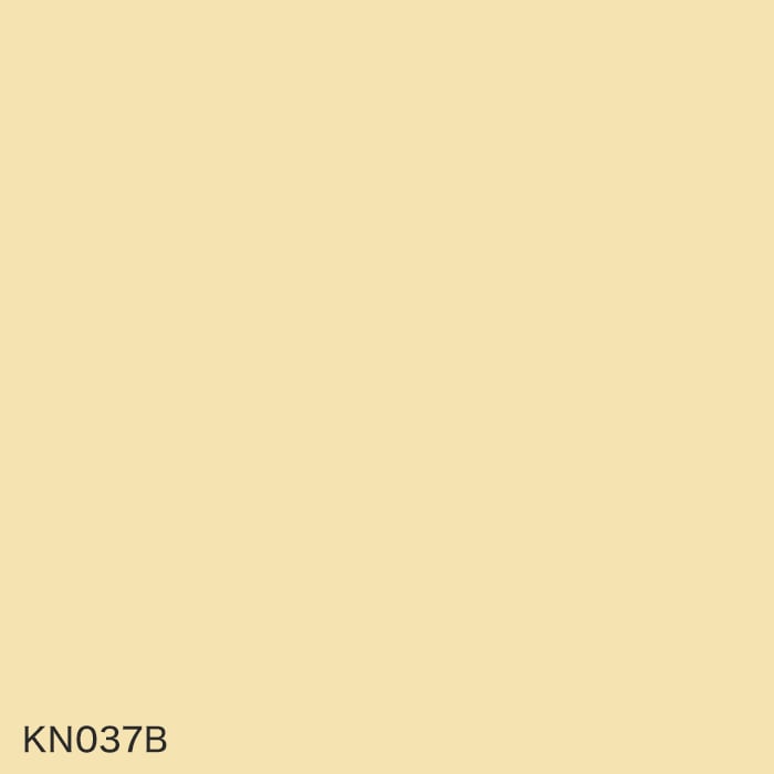color chip