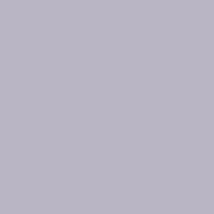 color chip