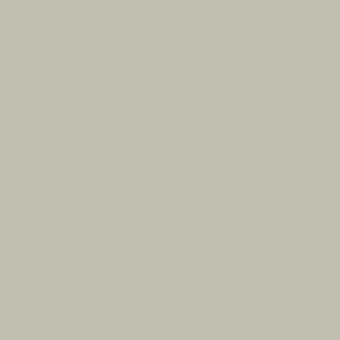 color chip