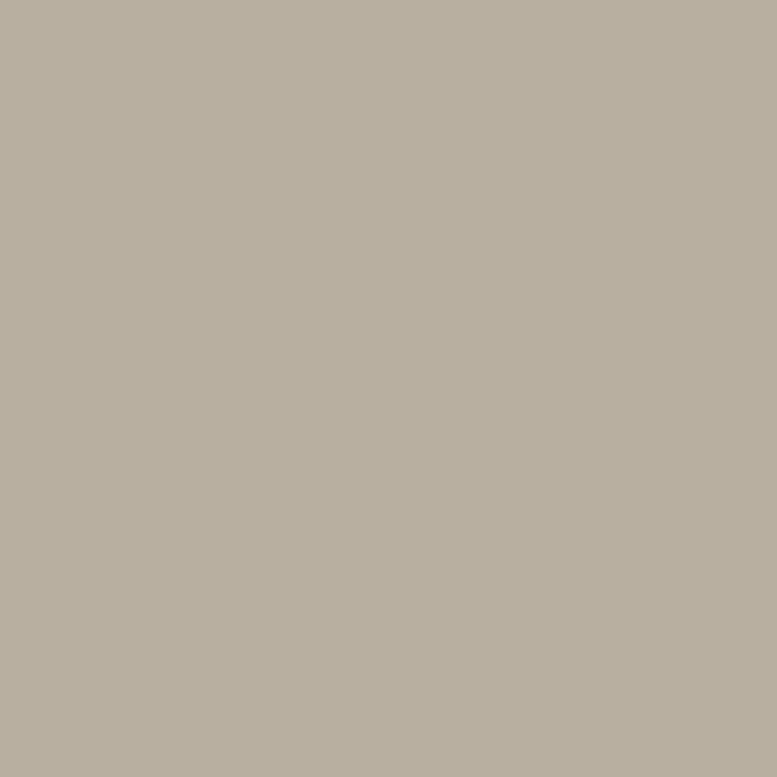 color chip