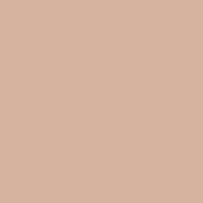 color chip