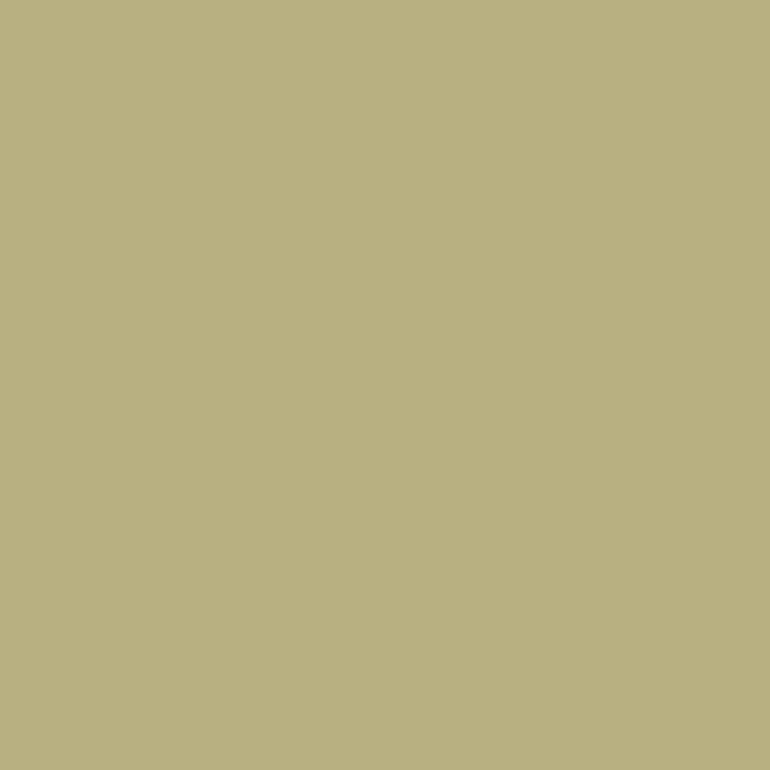 color chip