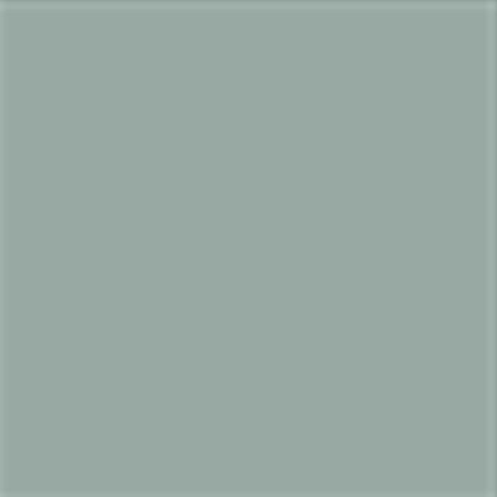 color chip
