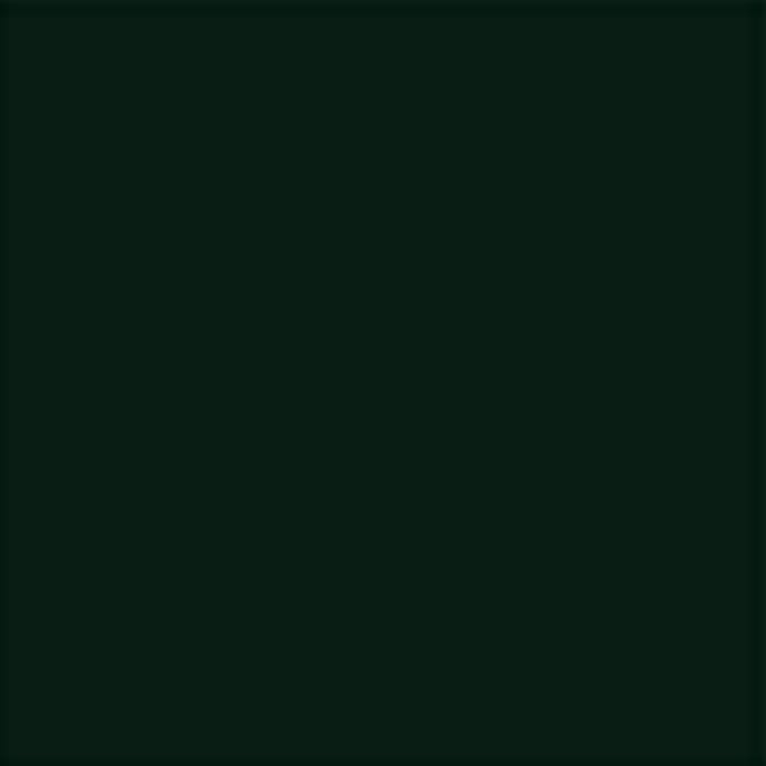 color chip