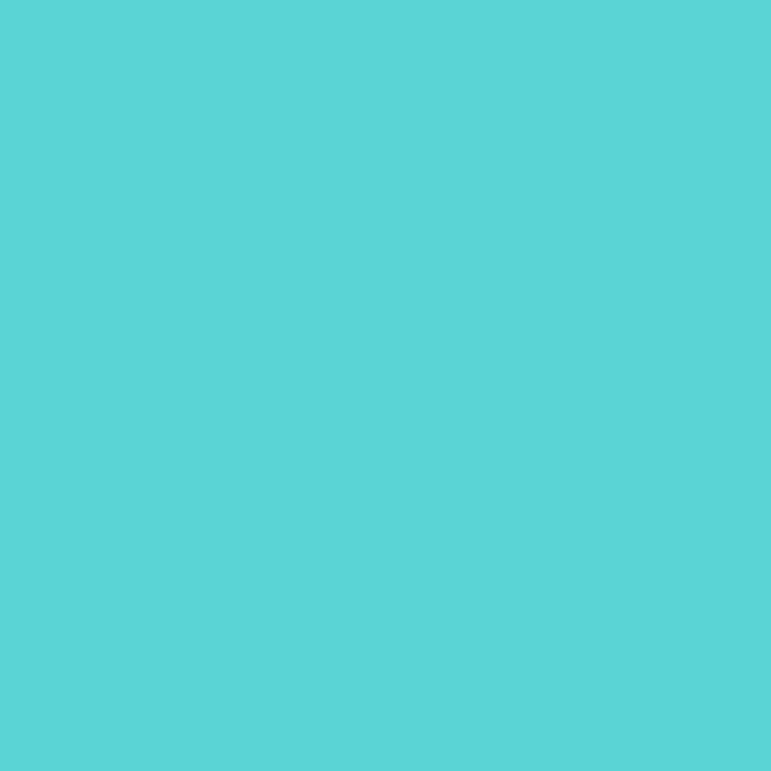 color chip
