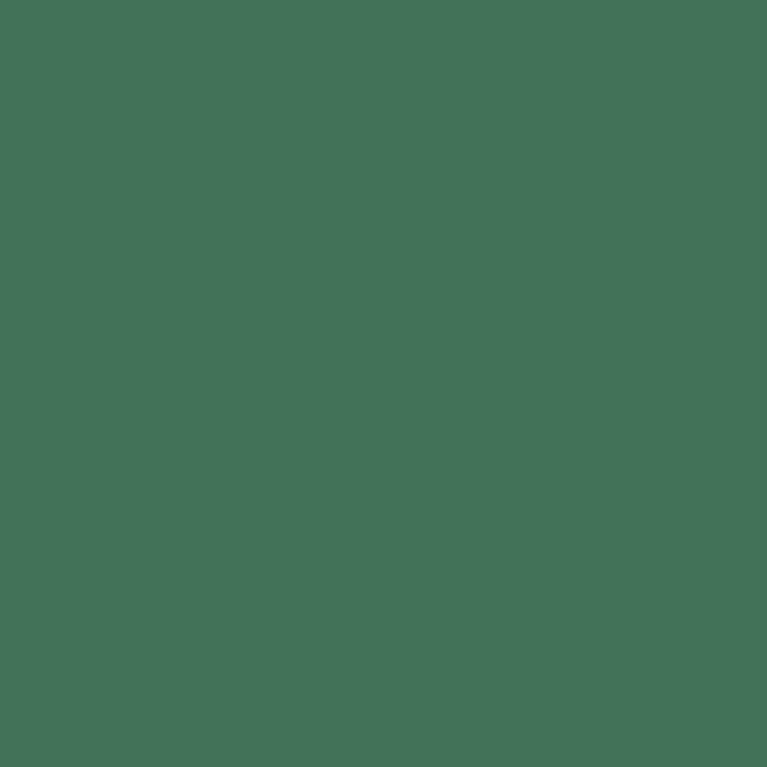 color chip
