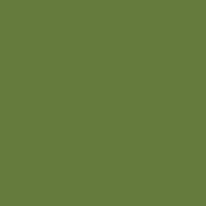 color chip